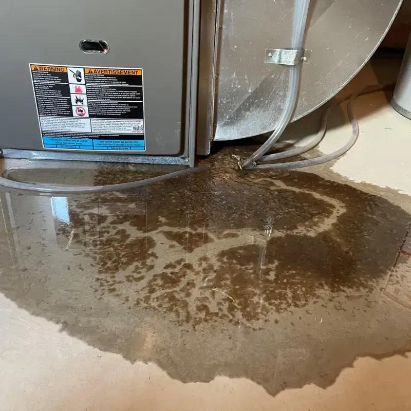 Appliance Leak Cleanup in Palmyra, VA